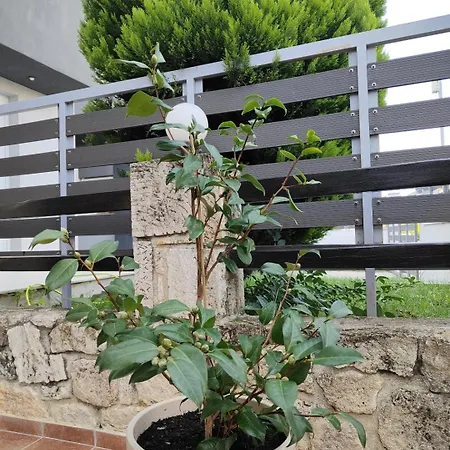 Διαμέρισμα Sivirilovelyapartment *