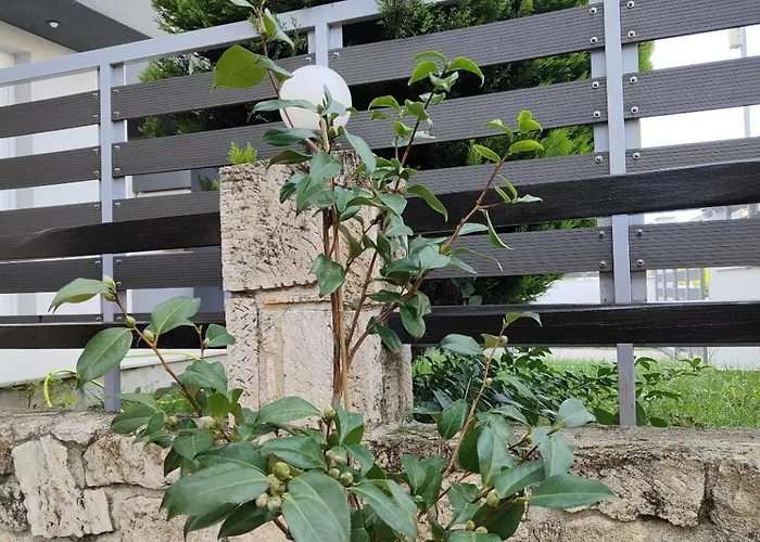 Apartamento Sivirilovelyapartment *